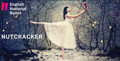 Nut cracker