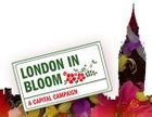 London-In-Bloom